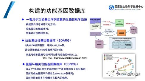 邓晔 微生物生态与组学大数据分析的数字化前沿