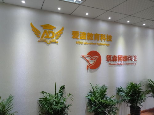 浙江筑森网络科技 以数字技术重塑行业未来